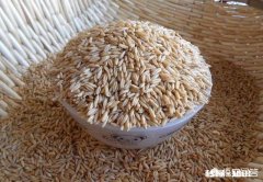 喝麦片真的能减肥吗