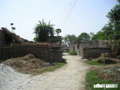 现在农村俩儿子的家庭，没钱买房娶媳妇的多不多以后咋办