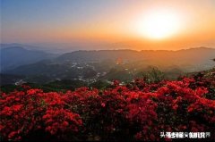 付出了就一定要得到回报，不确定的事就不愿意去努力，这样的心态错在哪里