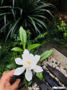 月薪5000跟50000的生活差异是啥