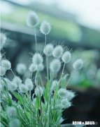 如果遇到最好的朋友主动和你绝交，你会不会难过