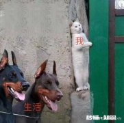 心里的苦闷没法排解的时候怎么办