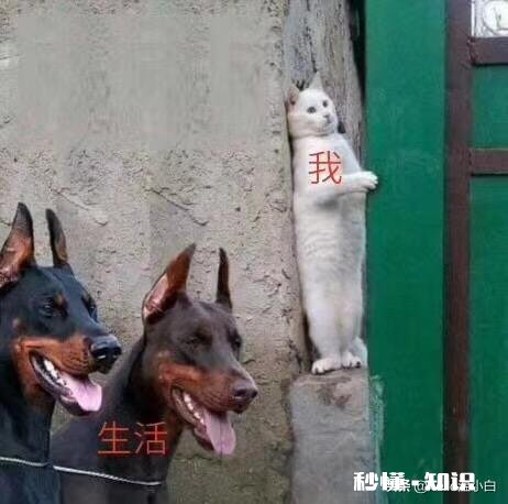 心里的苦闷没法排解的时候怎么办