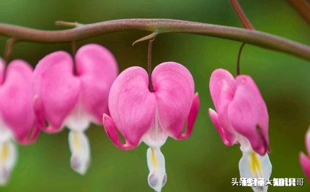 心里的苦闷没法排解的时候怎么办