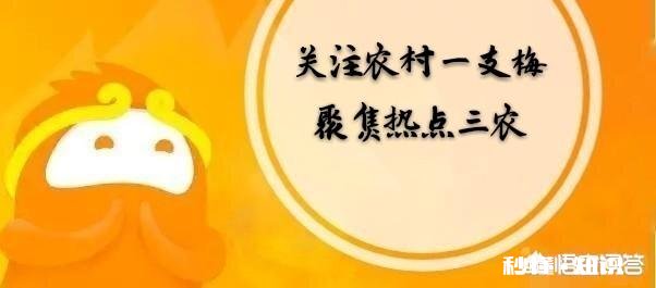 农村的成长经历给你留下最宝贵的财富是什么