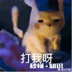 最近《精灵宝可梦》剧场版上映，有的人说是卖情怀，为此你怎么看你觉得这个大电影如何