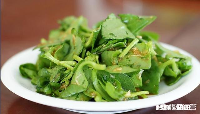 现在过年大家桌子上是荤菜多还是素菜多