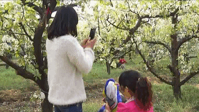 农民种地希望提高粮价，农药、种子、肥料无伪劣之外，还有哪些希望和愿望