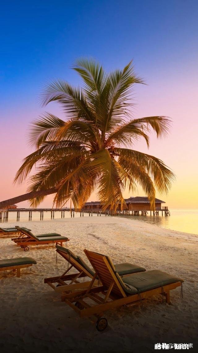 没有特别喜欢的人，也不接受别人的追求，这是什么心理状态