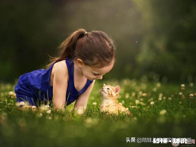 孩子爱顶嘴正常吗