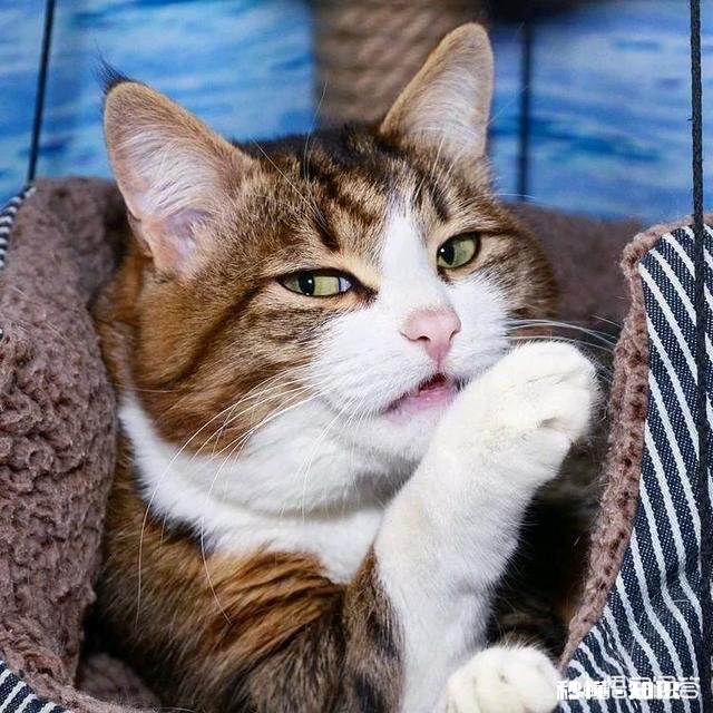 在家族小公司给同一个岗位的员工待遇不一样是种怎么样的体验无关能力