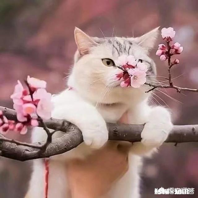 在家族小公司给同一个岗位的员工待遇不一样是种怎么样的体验无关能力