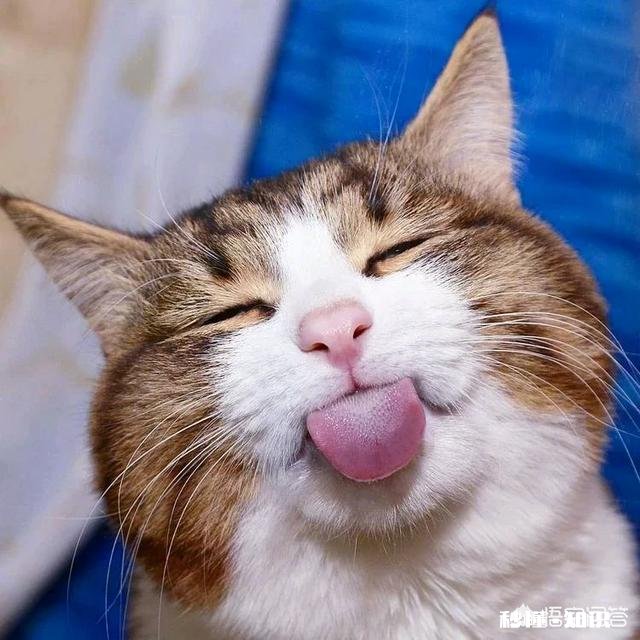 在家族小公司给同一个岗位的员工待遇不一样是种怎么样的体验无关能力