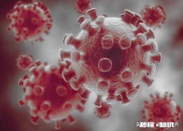 比尔盖茨说病毒大爆发很可能每隔20年就会发生一次，这种说法靠谱吗我们又该有何作为呢