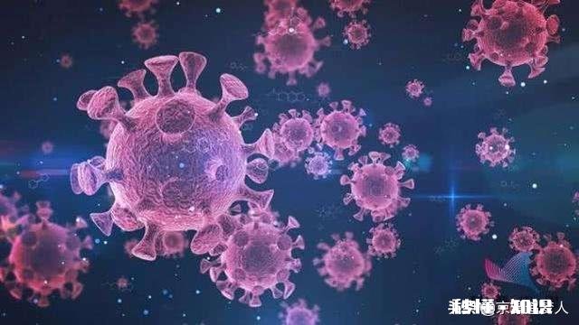 比尔盖茨说病毒大爆发很可能每隔20年就会发生一次，这种说法靠谱吗我们又该有何作为呢