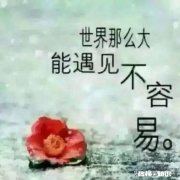 每天坚持聊微信的有多少人