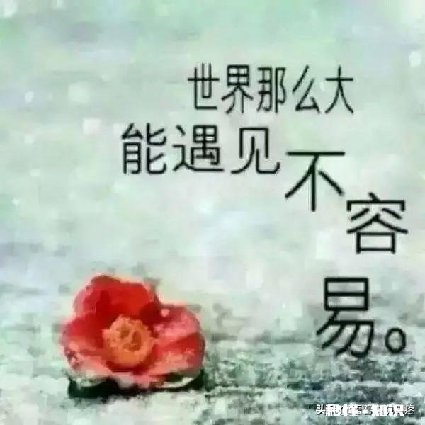 每天坚持聊微信的有多少人