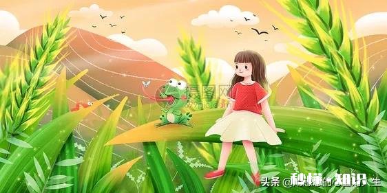 嫁到天津一直在家带孩子兼顾上班，怎么才能多交当地朋友