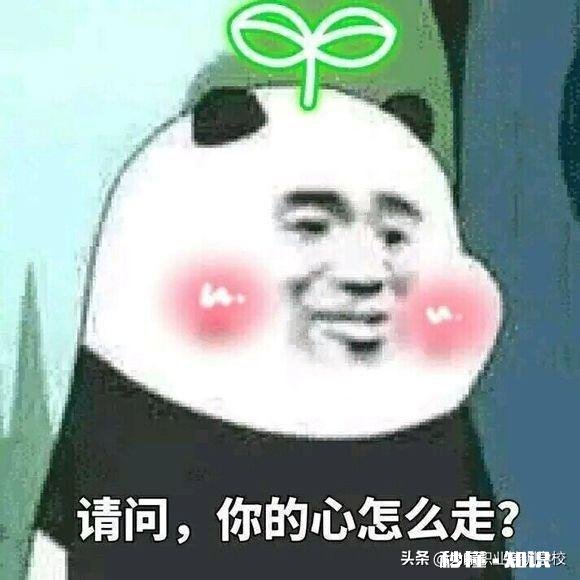 女孩子该如何追才能追到手