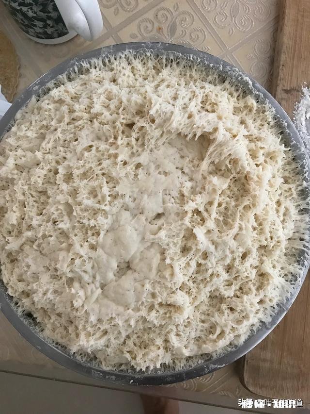 面团在太阳下发二十分钟会怎么样