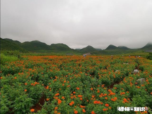明天 8月20号想去云南丽江玩，这段时间天气预报连续有雨，影响游玩吗