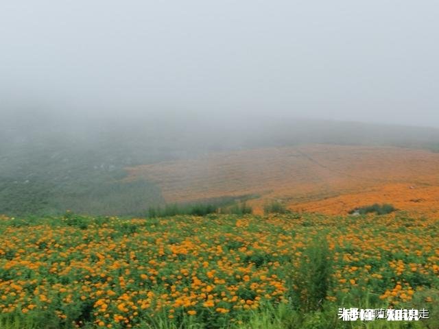 明天 8月20号想去云南丽江玩，这段时间天气预报连续有雨，影响游玩吗