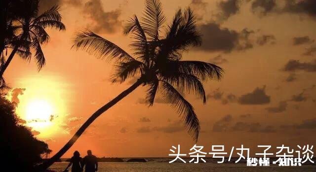 职业打假与敲诈勒索的区别在哪里怎样应对