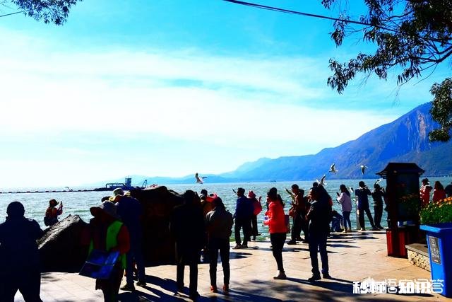 旅游写手账好不好怎么写