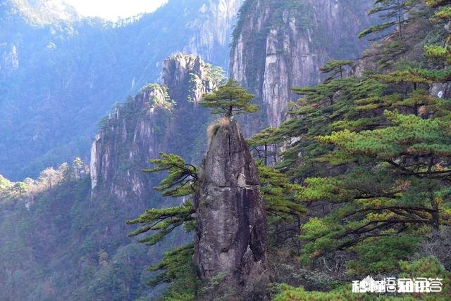 有没有黄山一天精华游的旅游攻略推荐