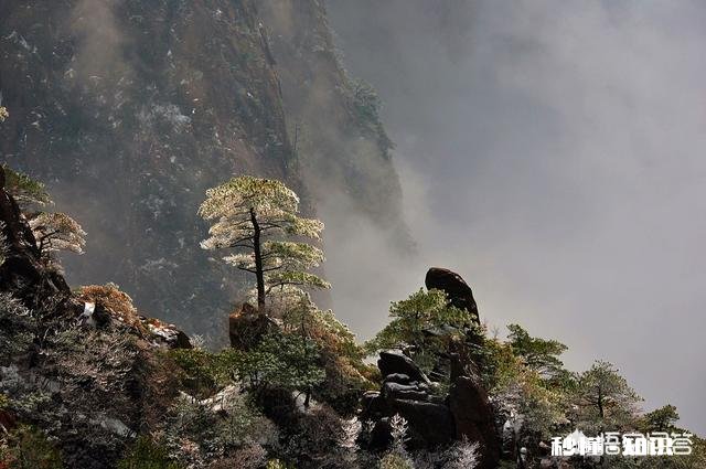 有没有黄山一天精华游的旅游攻略推荐
