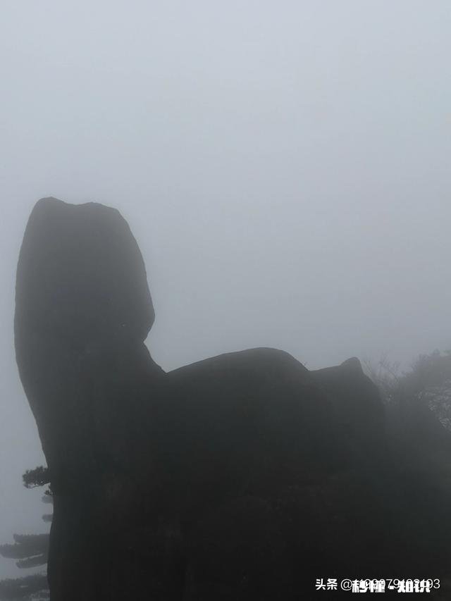 有没有黄山一天精华游的旅游攻略推荐