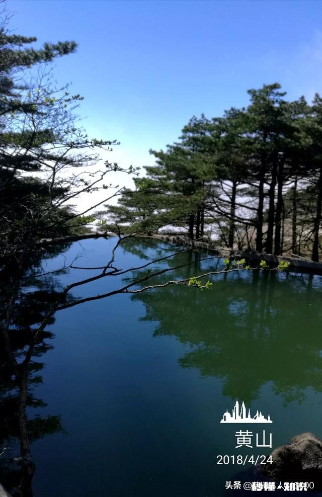 有没有黄山一天精华游的旅游攻略推荐