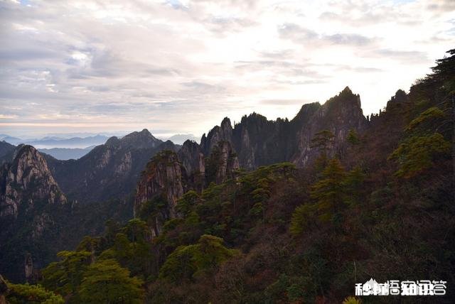有没有黄山一天精华游的旅游攻略推荐