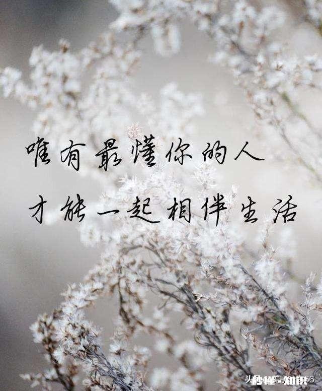 你用了多久忘记ta，或者说放下ta