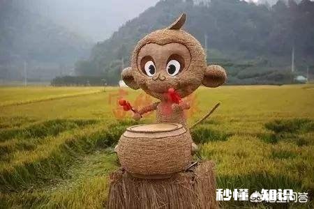 秸秆到底烧还是不烧如何才能找到一个合理的解决办法