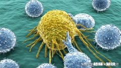 一个人会同时患多种癌吗