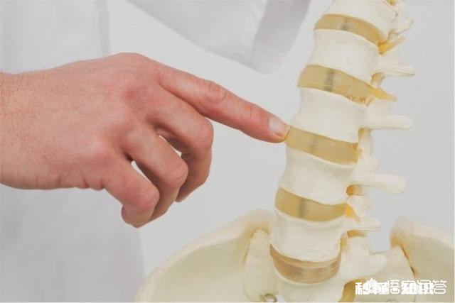 为什么我们晚上的身高要比早上的时候矮呢