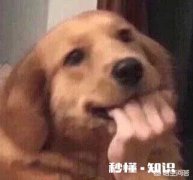 为什么我们晚上的身高要比早上的时候矮呢