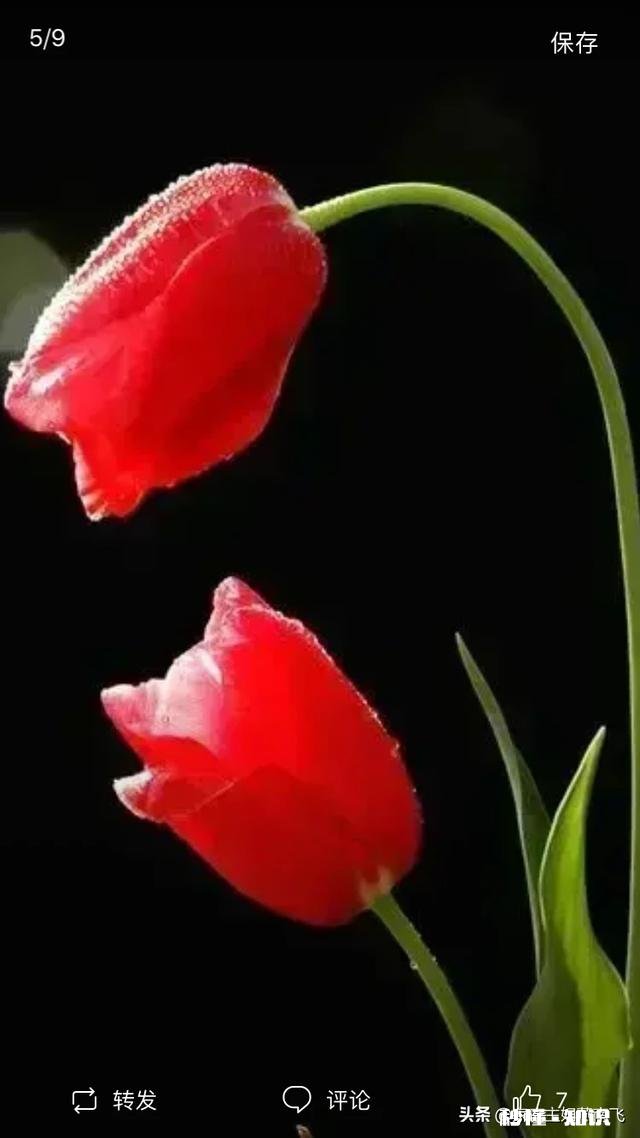 前夫给前丈母娘发红包祝母亲节快乐是什么心理