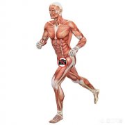 为什么人在高强度长时间大幅度的体育锻炼后，一觉醒来会感到全身酸痛