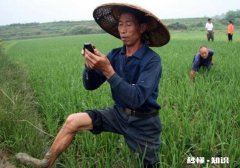 电视和手机在农村起什么作用