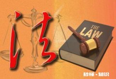 婶婶被一个同村喝醉酒的人捅伤，如何追究其赔偿责任