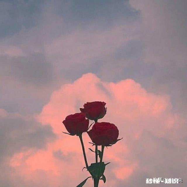 深沉是装出来的吗你怎样诠释深沉内涵