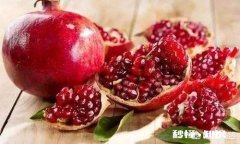 在农村种植什么好卖