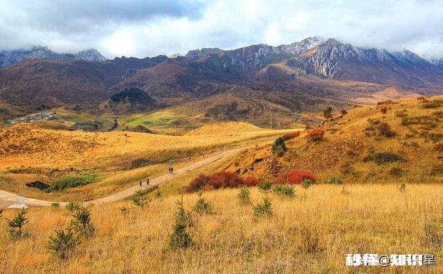 为什么一些人租了地荒着也不种呢