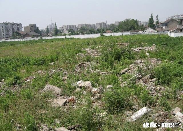 为什么一些人租了地荒着也不种呢