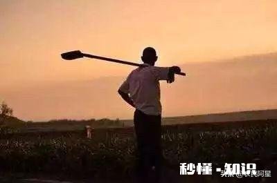 为什么一些人租了地荒着也不种呢