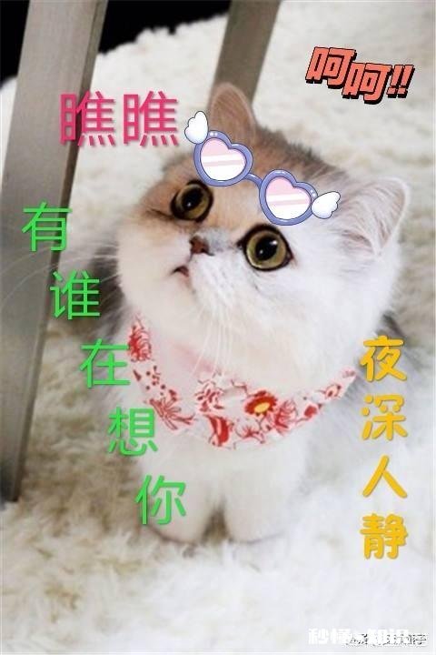 你每天有纠结的事吗是为什么而纠结