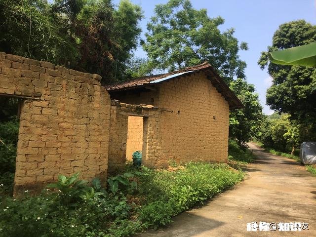 请问万能的条友，广东农村有几万块的老房子买吗