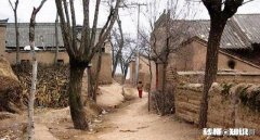 请问万能的条友，广东农村有几万块的老房子买吗